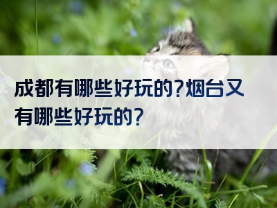 成都有哪些好玩的？烟台又有哪些好玩的？