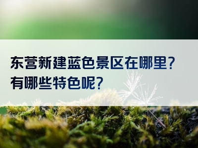 东营新建蓝色景区在哪里？有哪些特色呢？