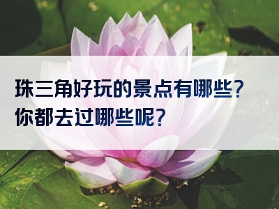 珠三角好玩的景点有哪些？你都去过哪些呢？