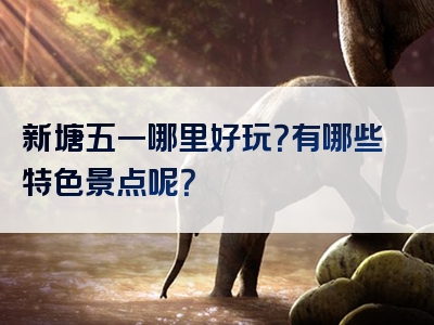 新塘五一哪里好玩？有哪些特色景点呢？