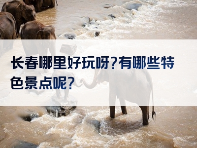 长春哪里好玩呀？有哪些特色景点呢？