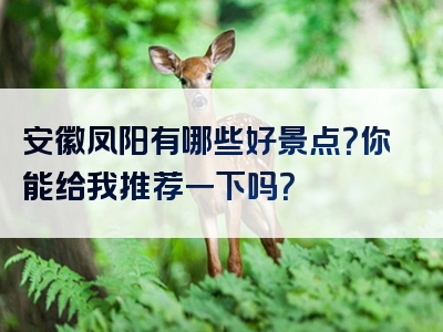 安徽凤阳有哪些好景点？你能给我推荐一下吗？