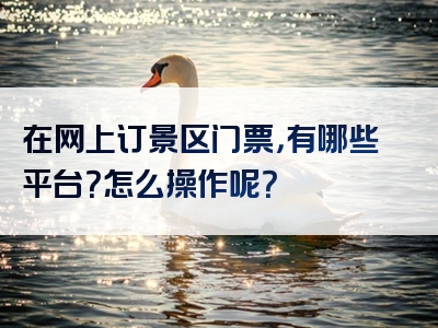 在网上订景区门票，有哪些平台？怎么操作呢？