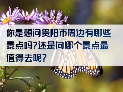 你是想问贵阳市周边有哪些景点吗？还是问哪个景点最值得去呢？