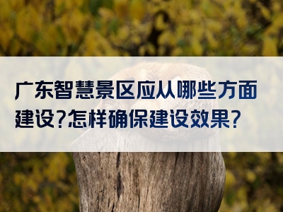 广东智慧景区应从哪些方面建设？怎样确保建设效果？