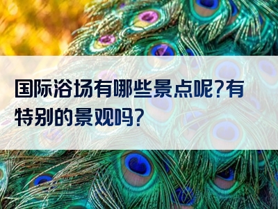 国际浴场有哪些景点呢？有特别的景观吗？