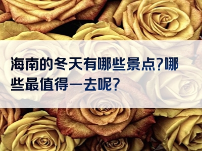 海南的冬天有哪些景点？哪些最值得一去呢？