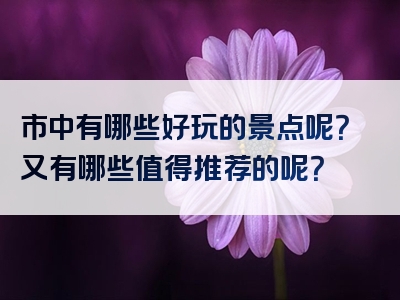 市中有哪些好玩的景点呢？又有哪些值得推荐的呢？