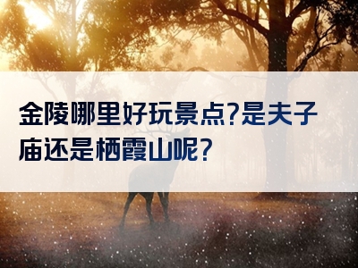金陵哪里好玩景点？是夫子庙还是栖霞山呢？