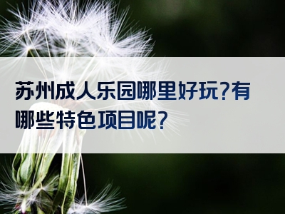 苏州成人乐园哪里好玩？有哪些特色项目呢？