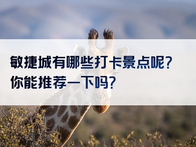 敏捷城有哪些打卡景点呢？你能推荐一下吗？