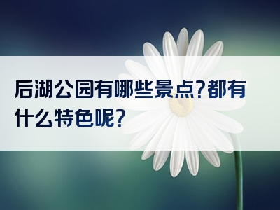 后湖公园有哪些景点？都有什么特色呢？
