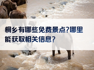 桐乡有哪些免费景点？哪里能获取相关信息？