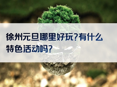 徐州元旦哪里好玩？有什么特色活动吗？