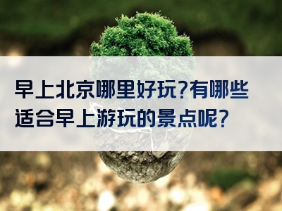 早上北京哪里好玩？有哪些适合早上游玩的景点呢？