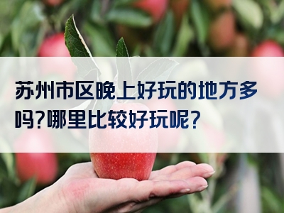 苏州市区晚上好玩的地方多吗？哪里比较好玩呢？