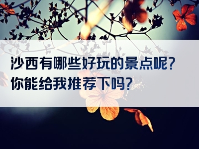 沙西有哪些好玩的景点呢？你能给我推荐下吗？