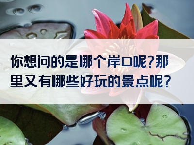 你想问的是哪个岸口呢？那里又有哪些好玩的景点呢？
