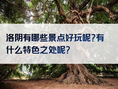 洛阴有哪些景点好玩呢？有什么特色之处呢？