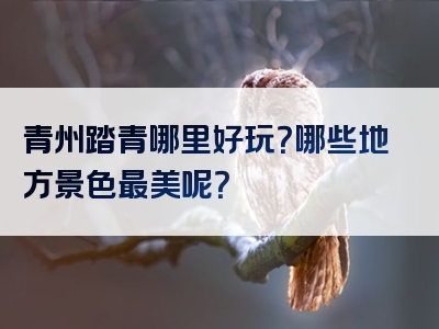 青州踏青哪里好玩？哪些地方景色最美呢？