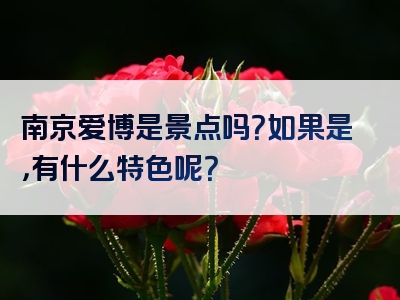 南京爱博是景点吗？如果是，有什么特色呢？