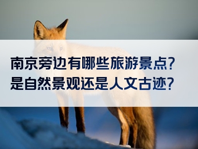 南京旁边有哪些旅游景点？是自然景观还是人文古迹？