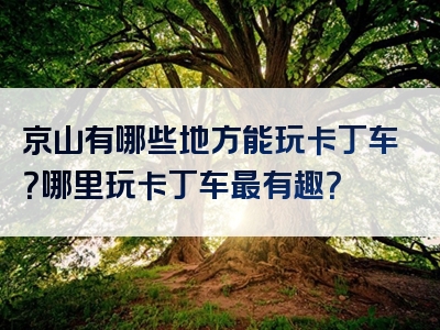京山有哪些地方能玩卡丁车？哪里玩卡丁车最有趣？