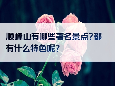 顺峰山有哪些著名景点？都有什么特色呢？