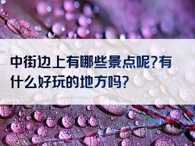 中街边上有哪些景点呢？有什么好玩的地方吗？