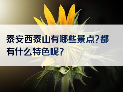 泰安西泰山有哪些景点？都有什么特色呢？