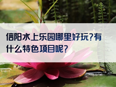 信阳水上乐园哪里好玩？有什么特色项目呢？