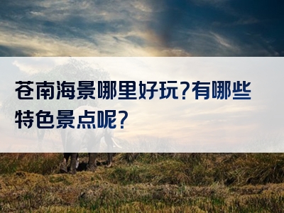 苍南海景哪里好玩？有哪些特色景点呢？
