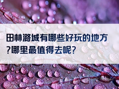田林潞城有哪些好玩的地方？哪里最值得去呢？