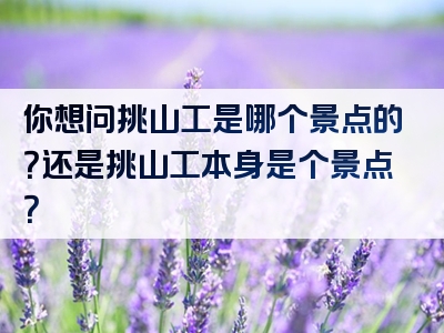 你想问挑山工是哪个景点的？还是挑山工本身是个景点？