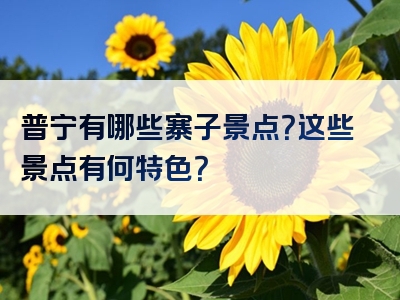 普宁有哪些寨子景点？这些景点有何特色？