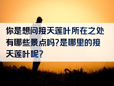 你是想问接天莲叶所在之处有哪些景点吗？是哪里的接天莲叶呢？