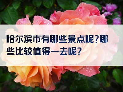哈尔滨市有哪些景点呢？哪些比较值得一去呢？