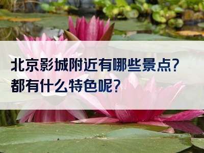北京影城附近有哪些景点？都有什么特色呢？
