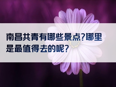南昌共青有哪些景点？哪里是最值得去的呢？