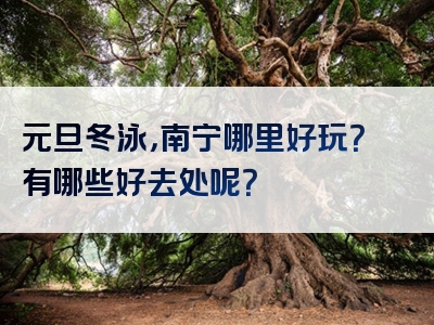 元旦冬泳，南宁哪里好玩？有哪些好去处呢？