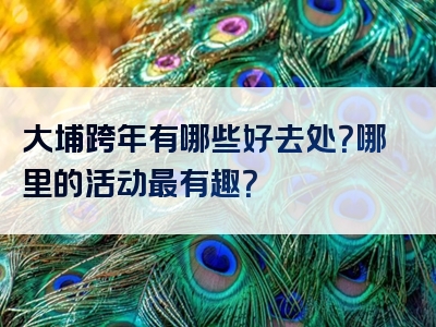 大埔跨年有哪些好去处？哪里的活动最有趣？