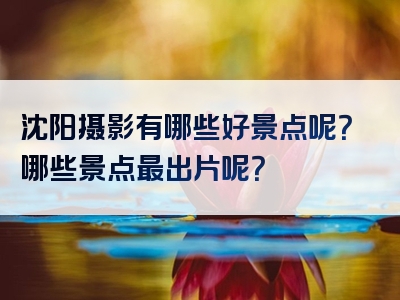 沈阳摄影有哪些好景点呢？哪些景点最出片呢？