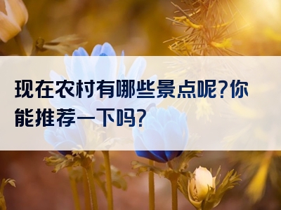 现在农村有哪些景点呢？你能推荐一下吗？