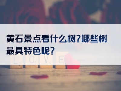 黄石景点看什么树？哪些树最具特色呢？
