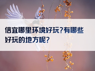 信宜哪里环境好玩？有哪些好玩的地方呢？