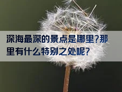 深海最深的景点是哪里？那里有什么特别之处呢？