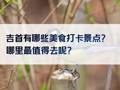 吉首有哪些美食打卡景点？哪里最值得去呢？