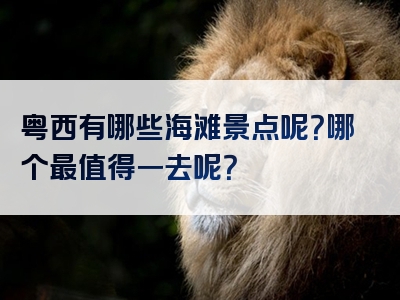 粤西有哪些海滩景点呢？哪个最值得一去呢？
