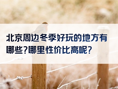 北京周边冬季好玩的地方有哪些？哪里性价比高呢？