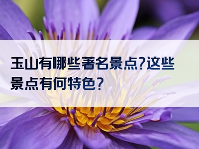玉山有哪些著名景点？这些景点有何特色？